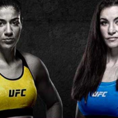 ufc-fight-night-198-pryamaya-translyaciya-20-noyabrya-2021